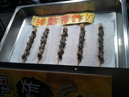 taiwanese night market crickets